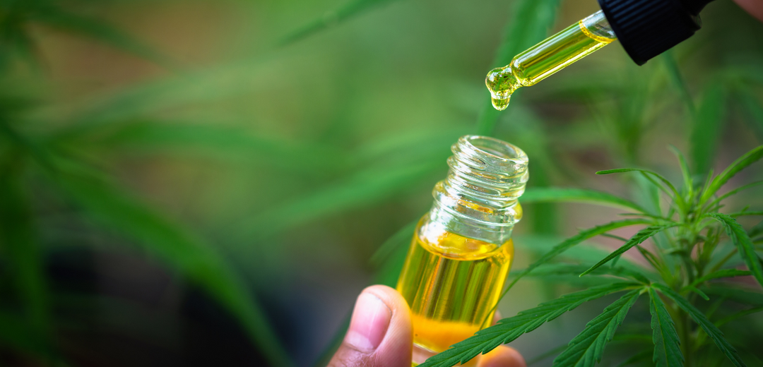 What Are the Different Ways to Take CBD